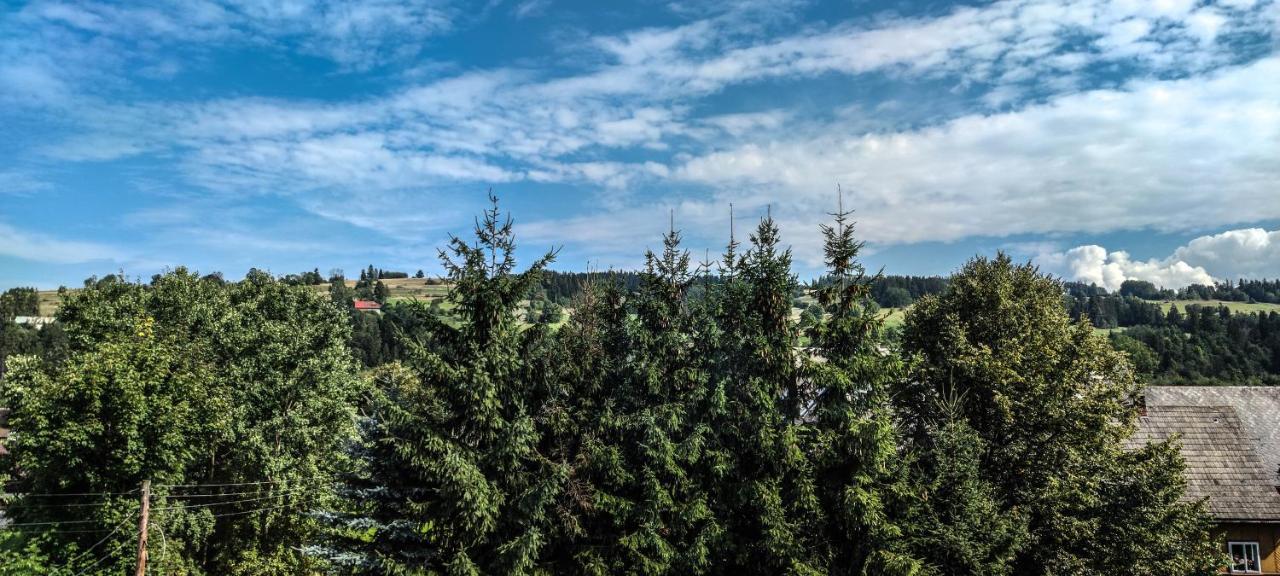 Watra Noclegi Biały Dunajec Exterior foto